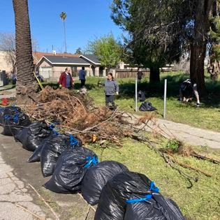 Students doing neighborhood cleanup with bags