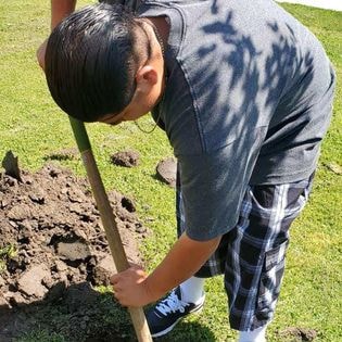 Student community service — tree planting